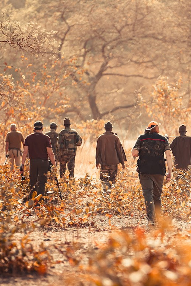 Safari de chasse  Expérience