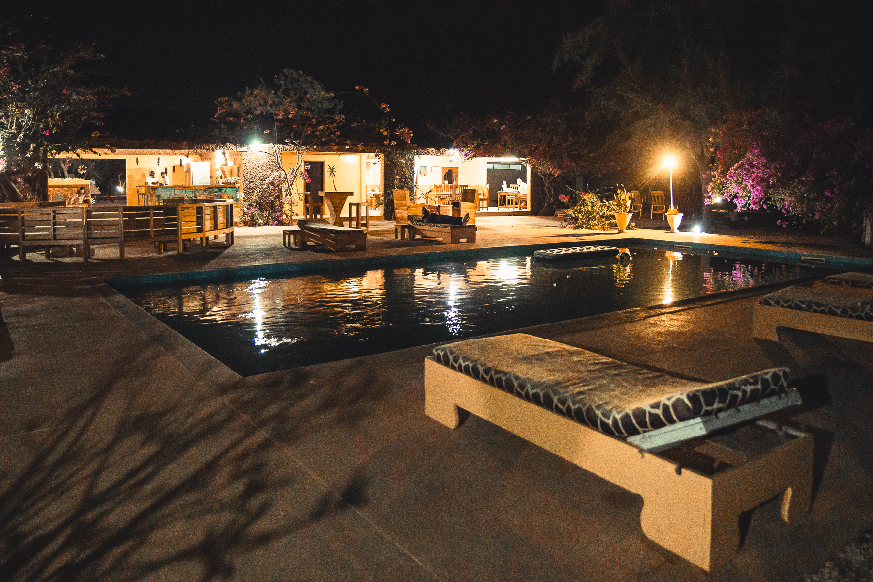 Safari chasse senegal afrique 122