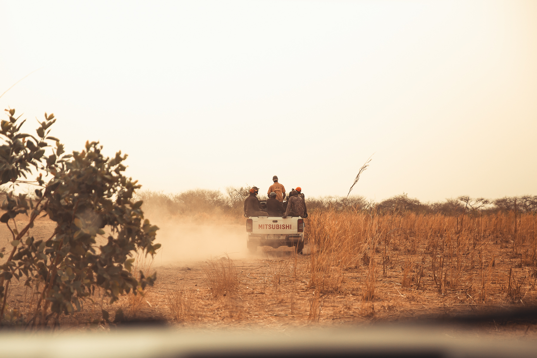 Safari chasse senegal afrique 127