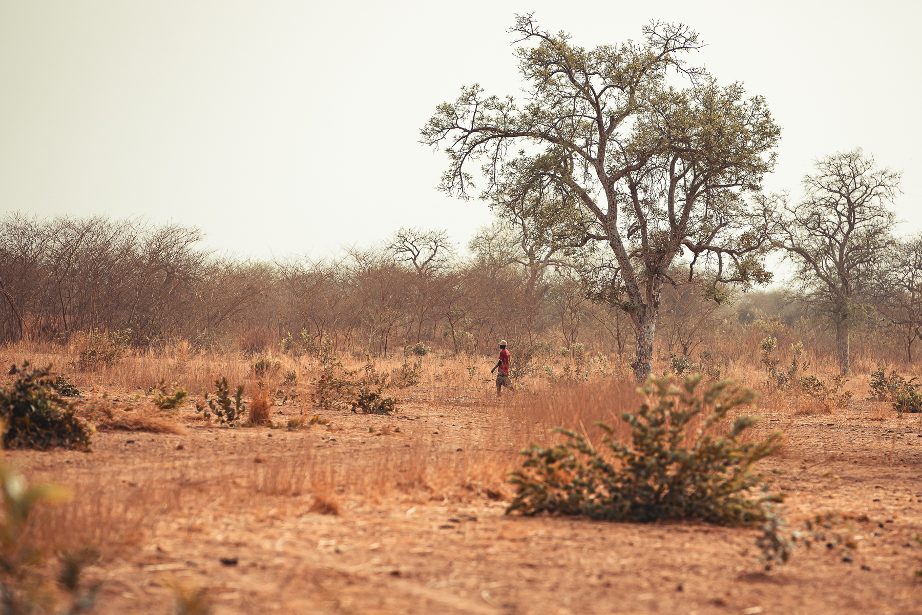 Safari chasse senegal afrique 128