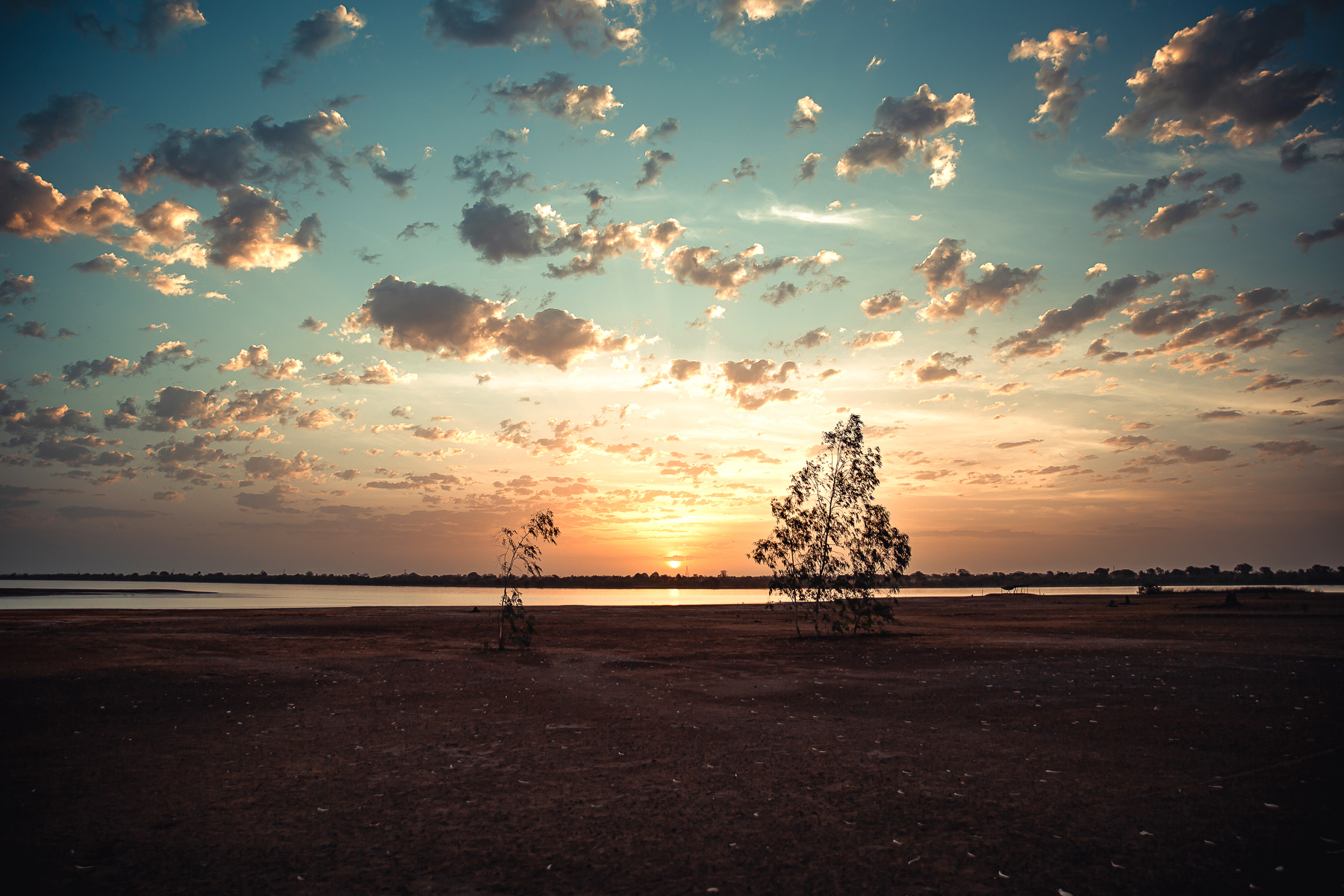 Safari chasse senegal afrique 147