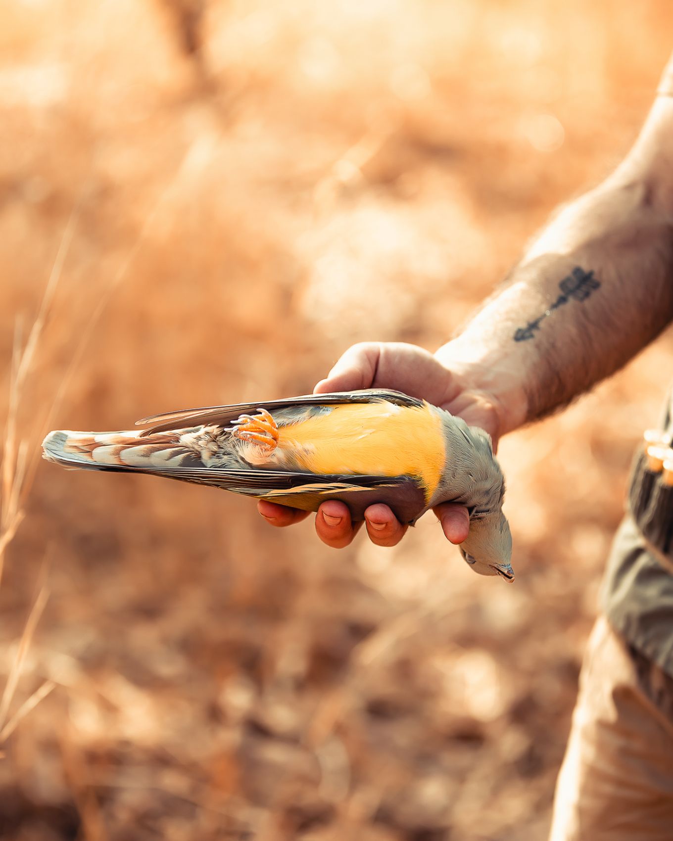 Safari chasse senegal afrique 158