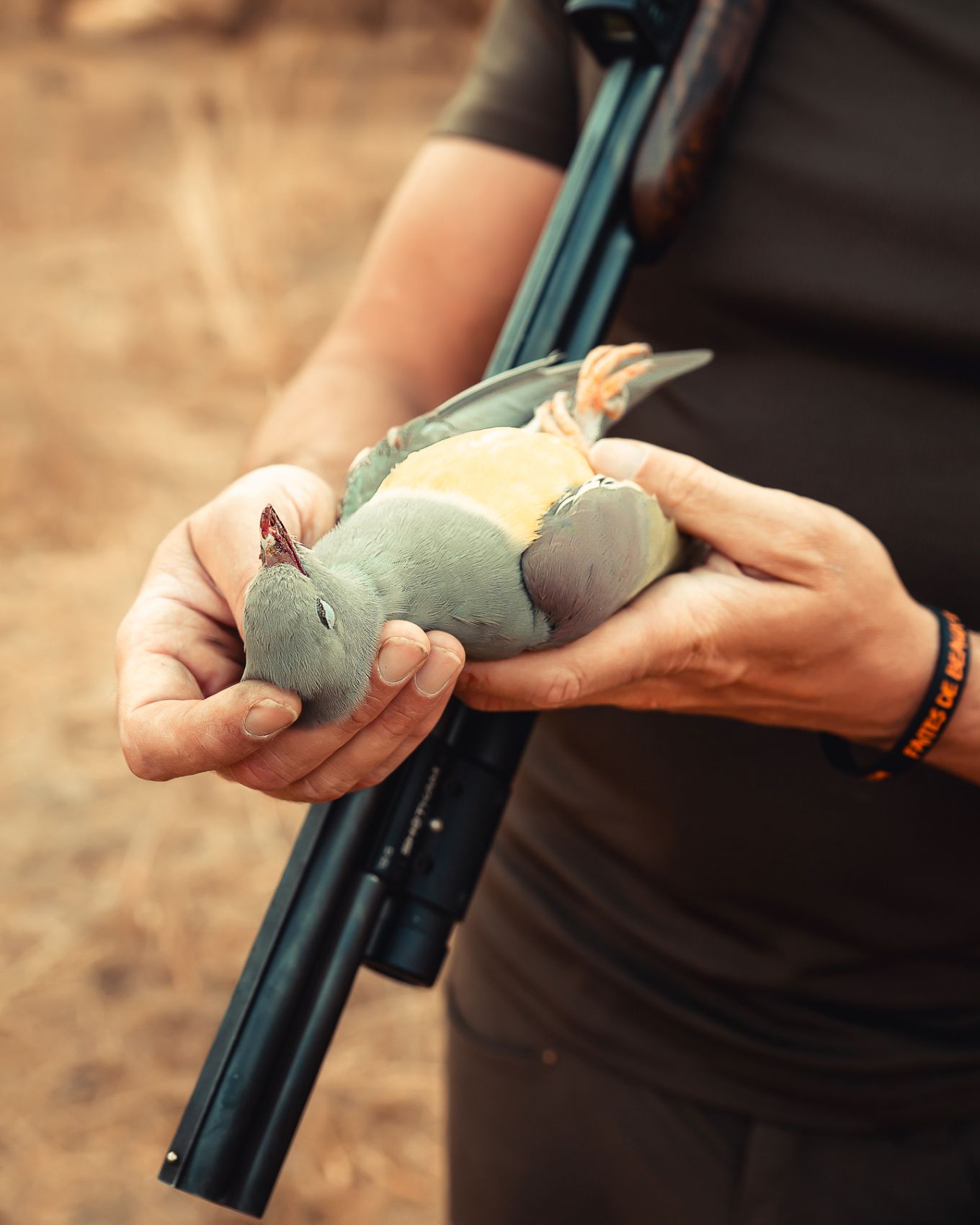 Safari chasse senegal afrique 161