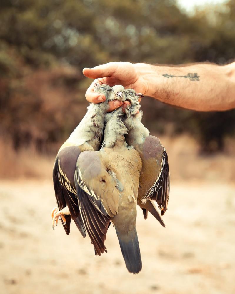 safari-chasse-senegal-afrique-109