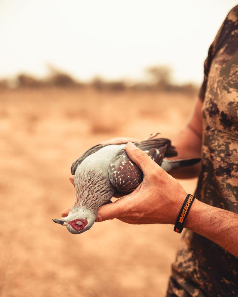 safari-chasse-senegal-afrique-121