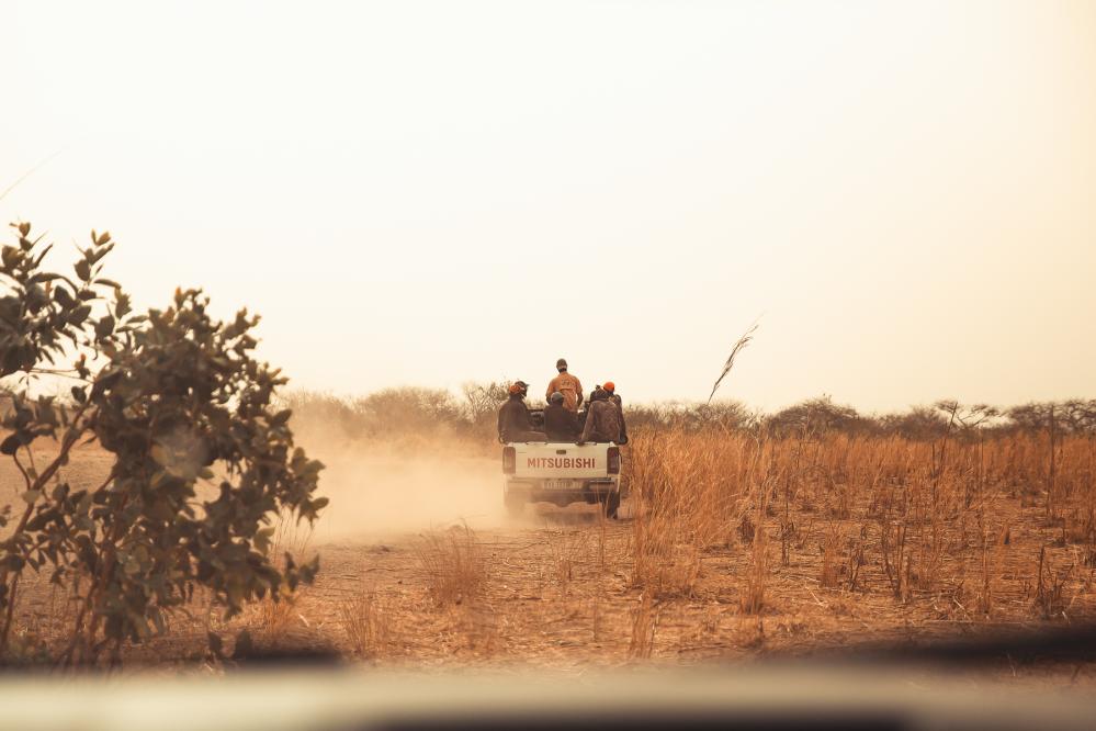   Safari de chasse au S&eacute;n&eacute;gal - safari-chasse-senegal-afrique-127