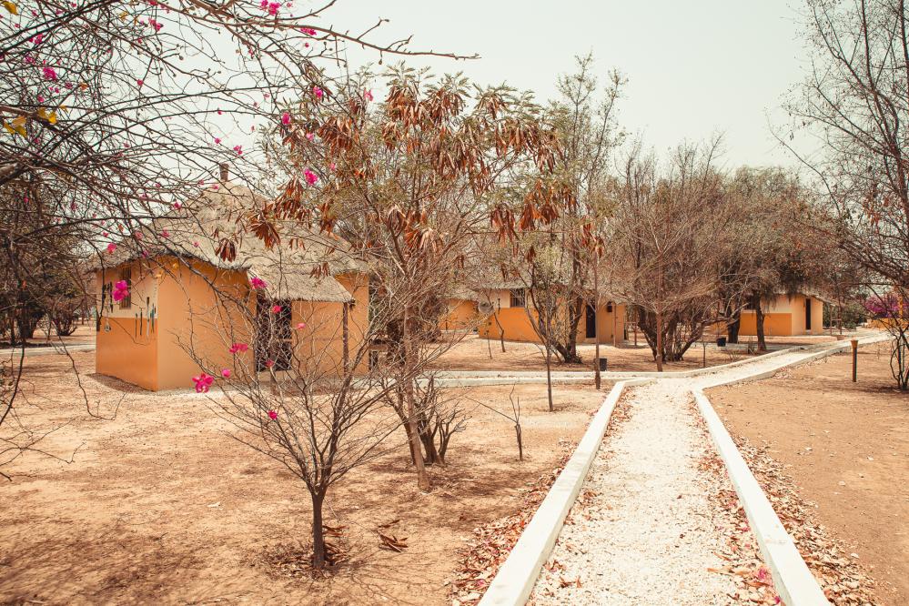   Safari de chasse au S&eacute;n&eacute;gal - safari-chasse-senegal-afrique-136