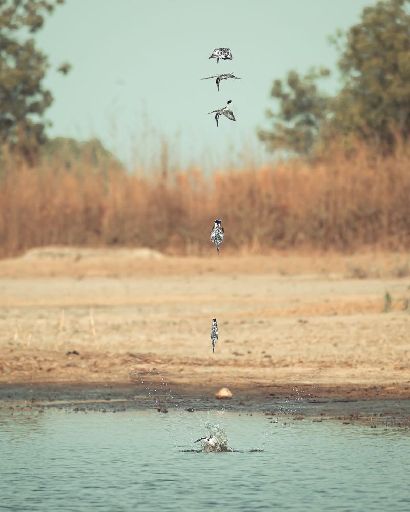   Safari de chasse au S&eacute;n&eacute;gal - safari-chasse-senegal-afrique-149
