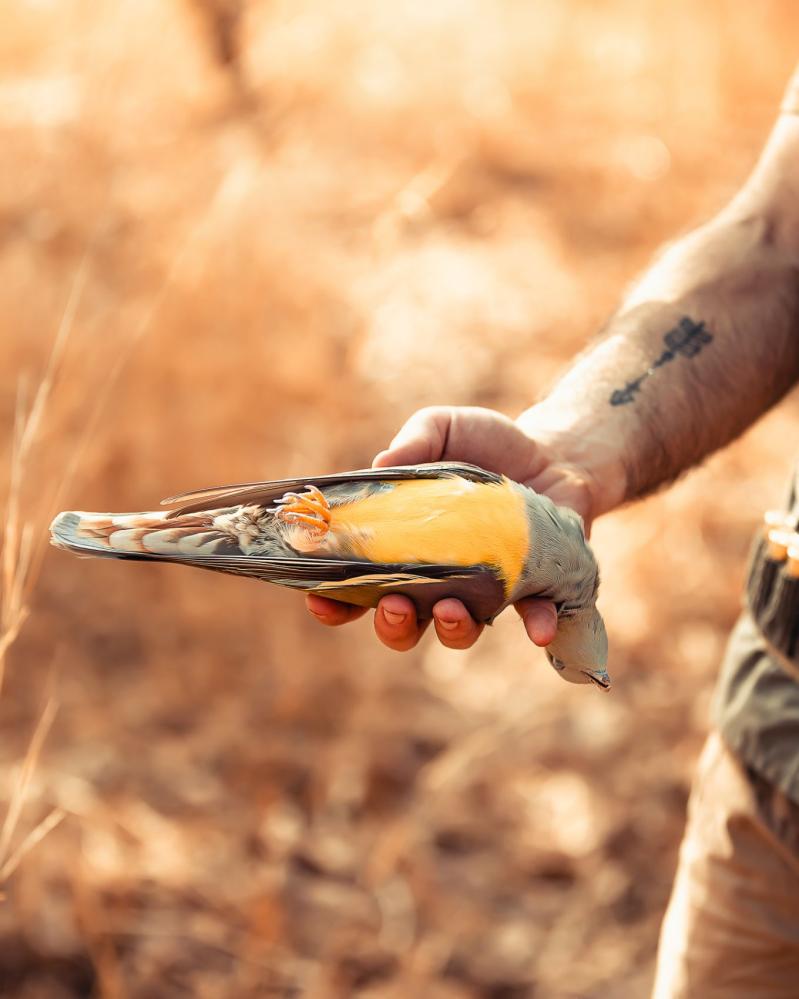   Safari de chasse au S&eacute;n&eacute;gal - safari-chasse-senegal-afrique-158