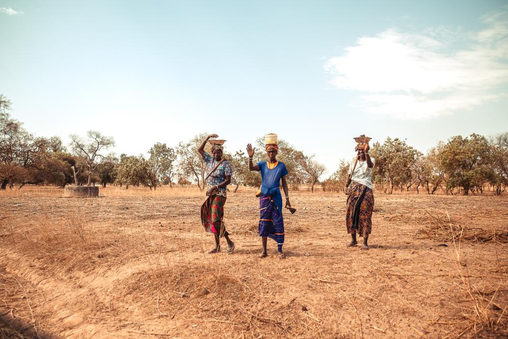 safari-chasse-senegal-afrique-16