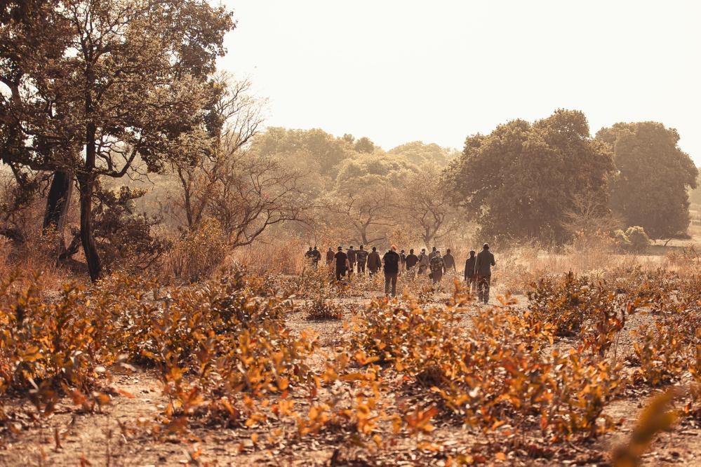 safari-chasse-senegal-afrique-42