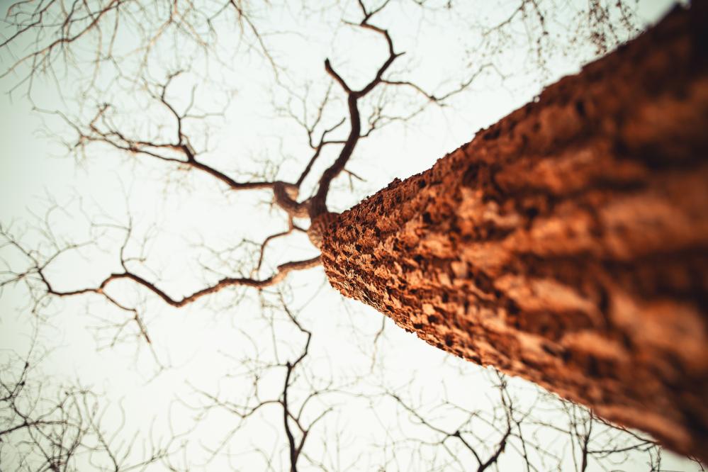 safari-chasse-senegal-afrique-57