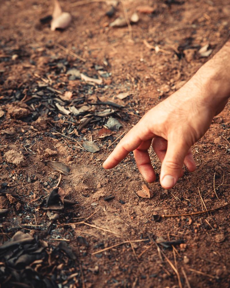 safari-chasse-senegal-afrique-58