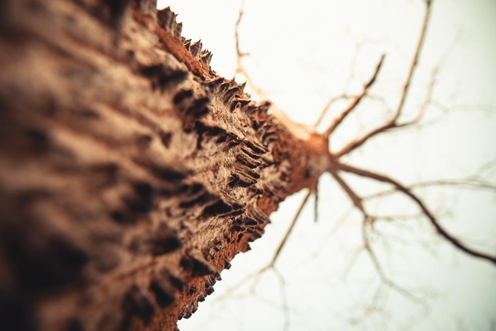 safari-chasse-senegal-afrique-59