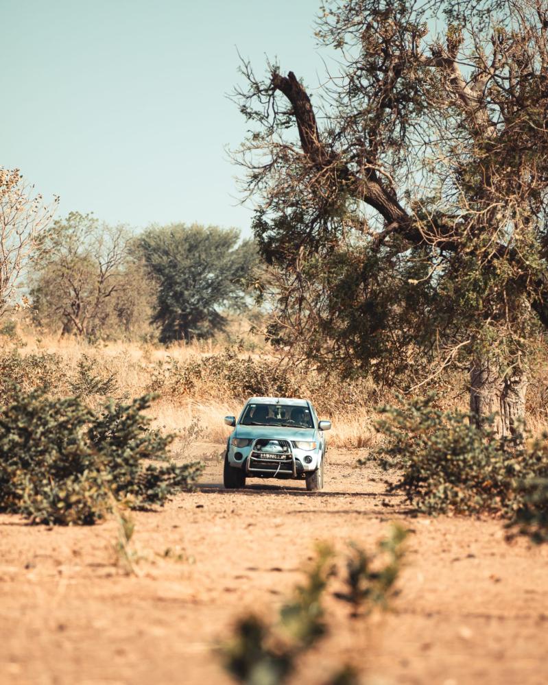 safari-chasse-senegal-afrique-7