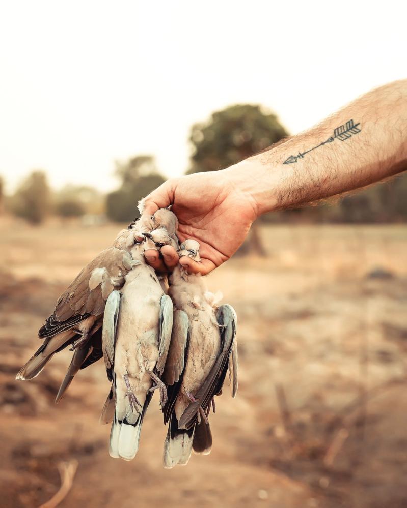 safari-chasse-senegal-afrique-97